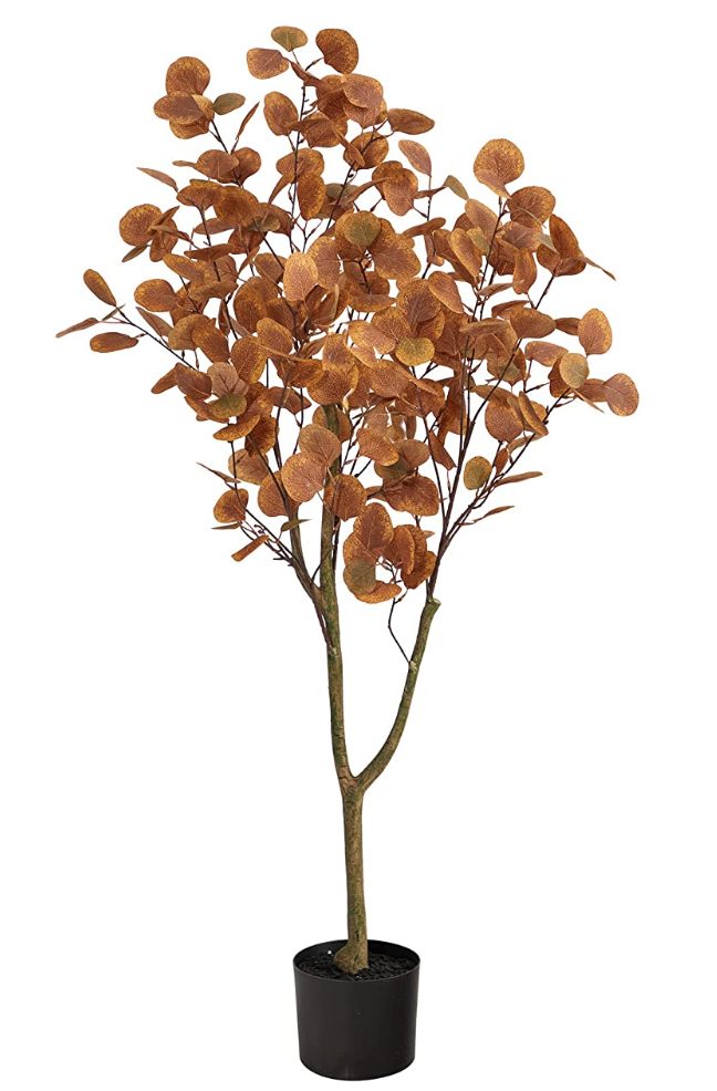 best amazon fall decor