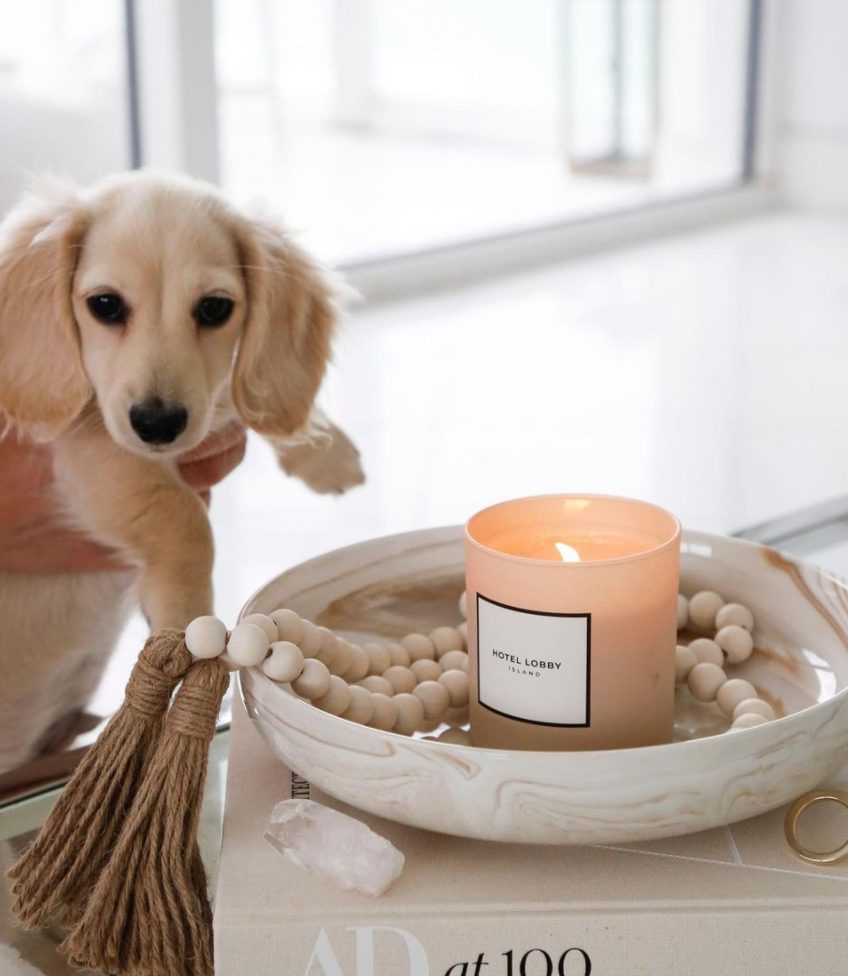 decorative vase Best Amazon Finds