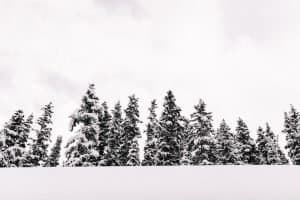 banff vs lake louise: whats the difference