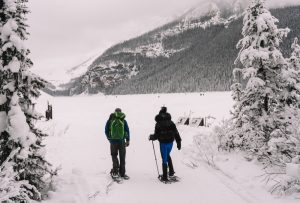 snowshoeing in lake louise