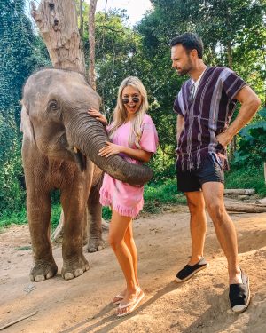 chiang mai elephant farm
