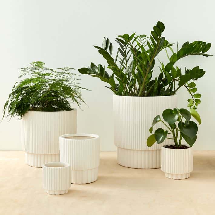 Fluted Indoor/Outdoor Planters