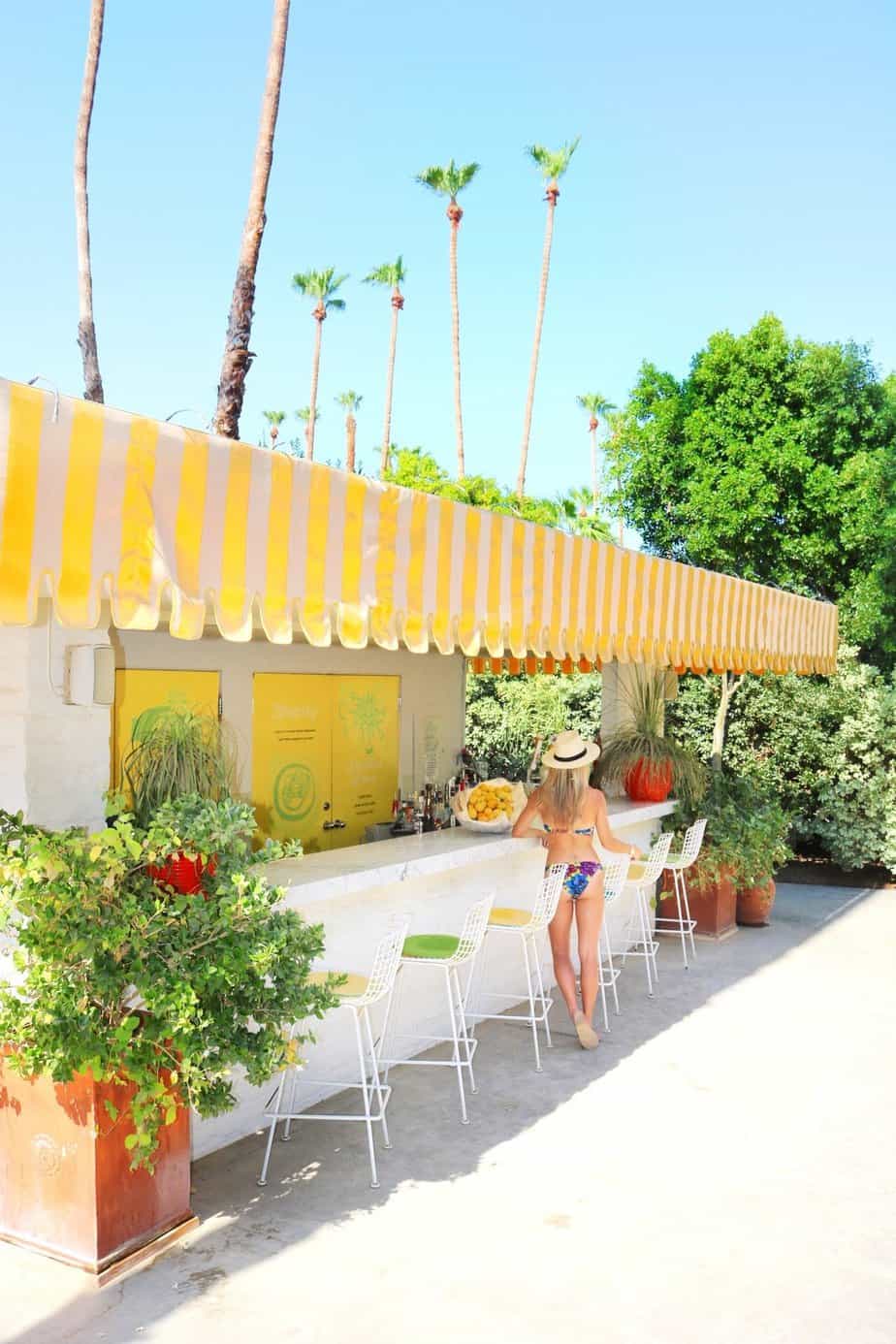 parker palm springs lemonade stand