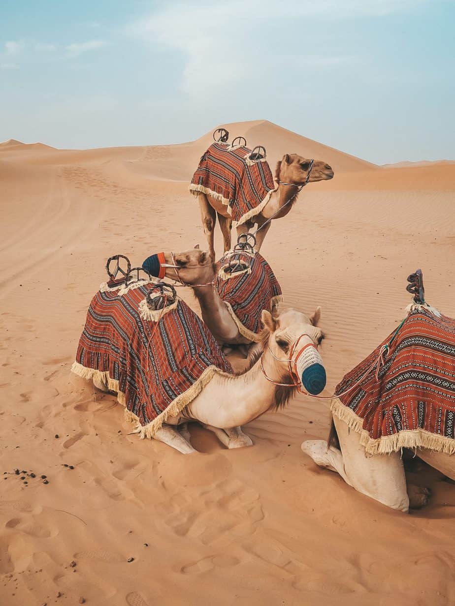 What to wear in Abu Dhabi