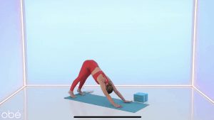 obe fitness app review