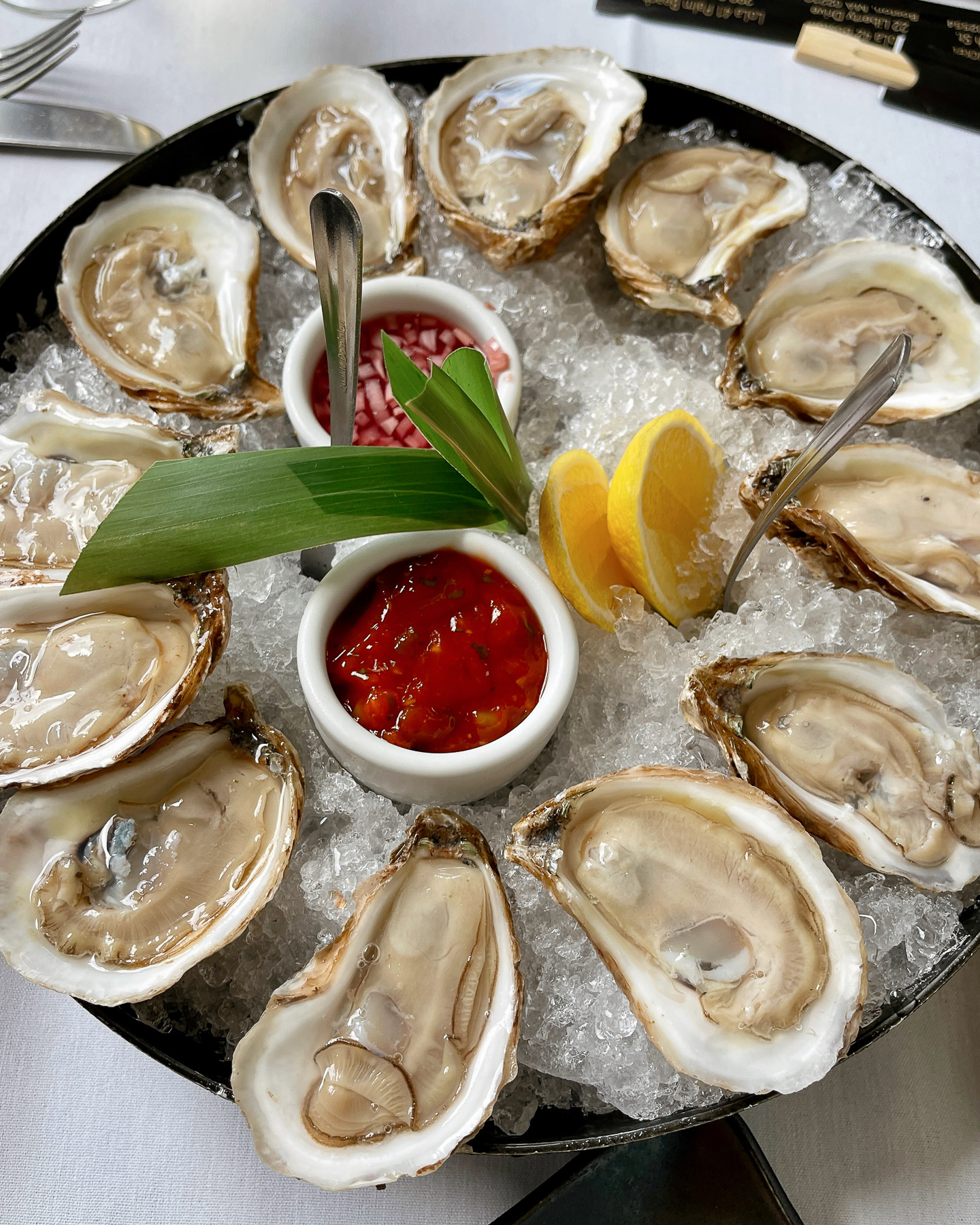 lola41 palm beach lola41 palm beach