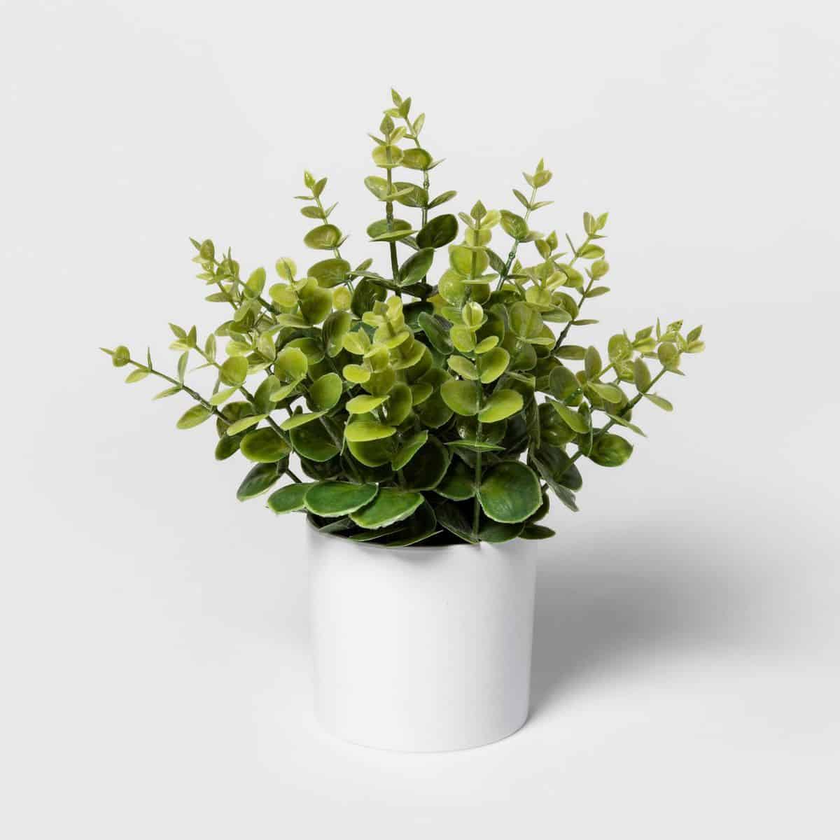 faux plant