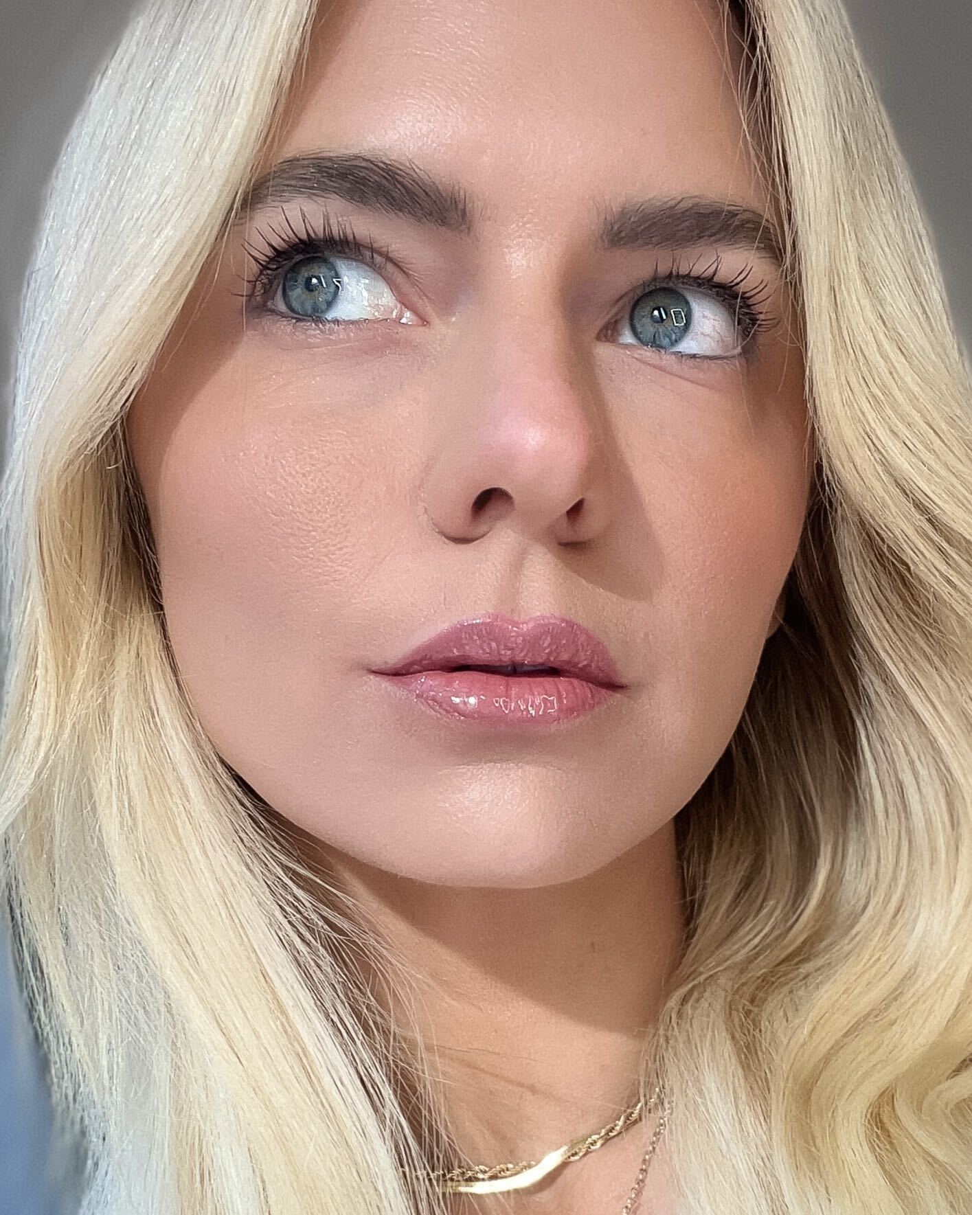 rose lip combo makeup rose lip combo makeup