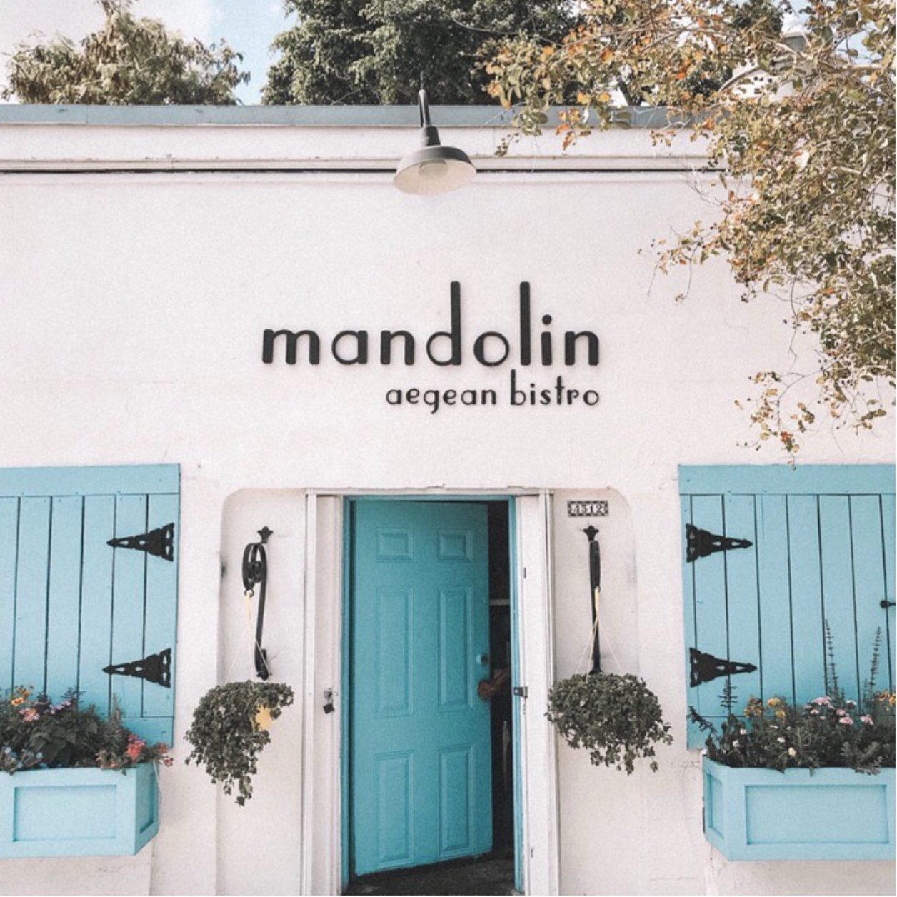 Mandolin Miami Mandolin Trendiest Restaurants in Miami
