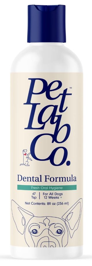 dental formula for pets dental formula for pets