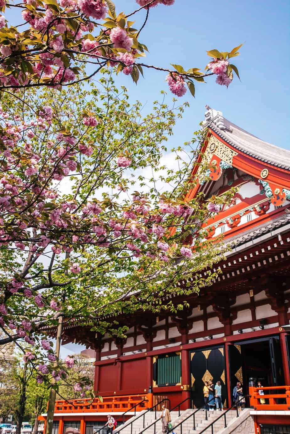 sensoji temple tokyo 5 days in tokyo itinerary