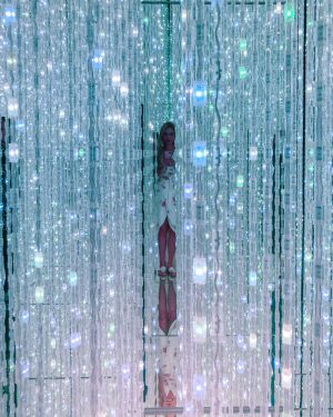 teamlab bordless japan tokyo crystal room