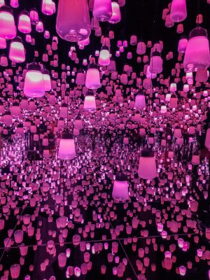 5 Days in Tokyo itinerary teamlab bordless japan tokyo lamps