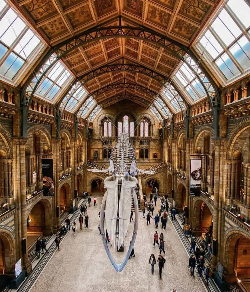 Natural History Museum most instagrammable places in london