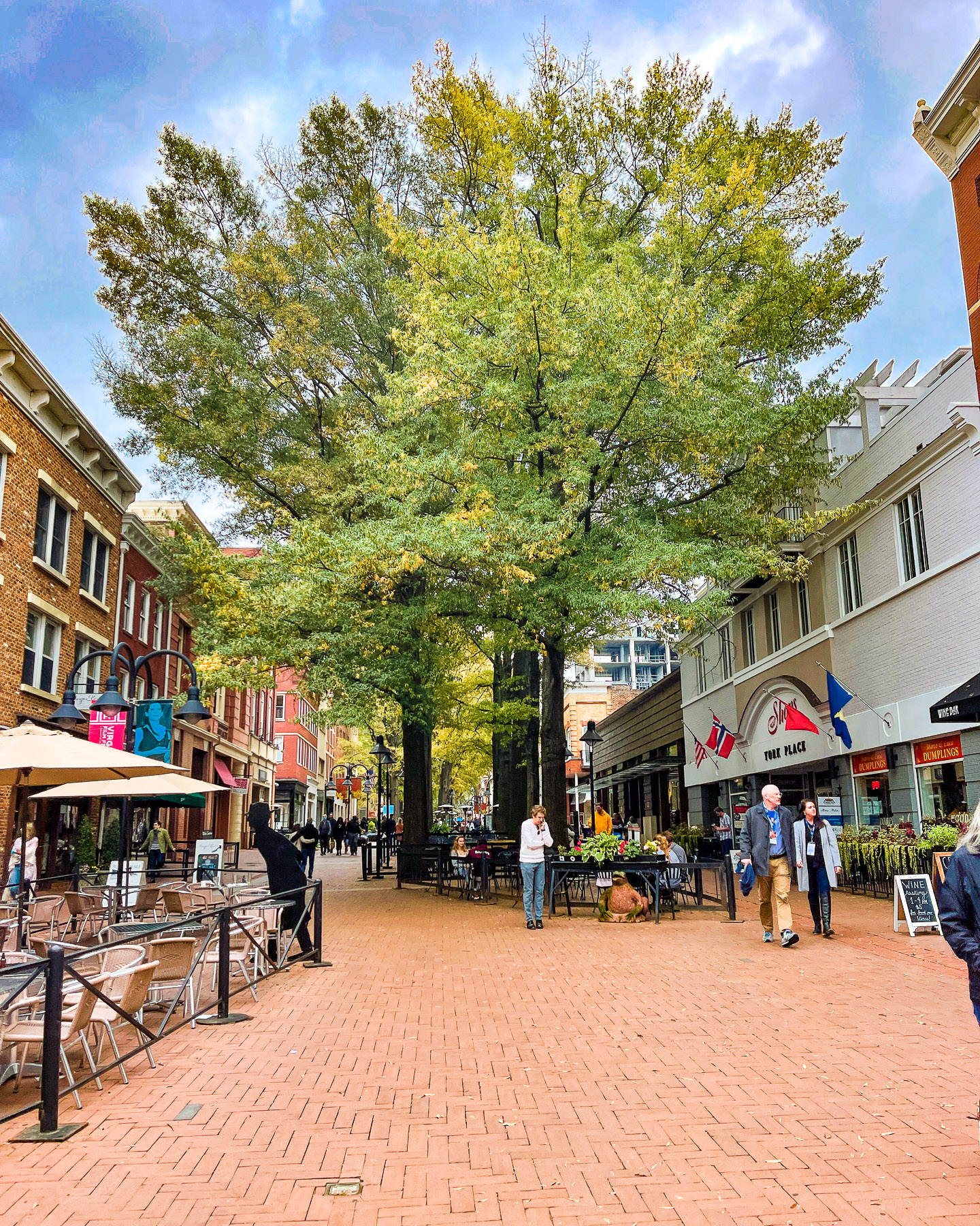 things to do in charlottesville downtown