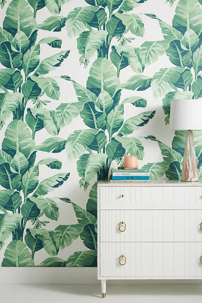 accent palm tree wall paper
