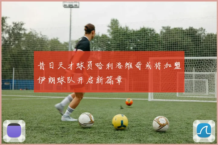 昔日天才球员哈利洛维奇或将加盟伊朗球队开启新篇章